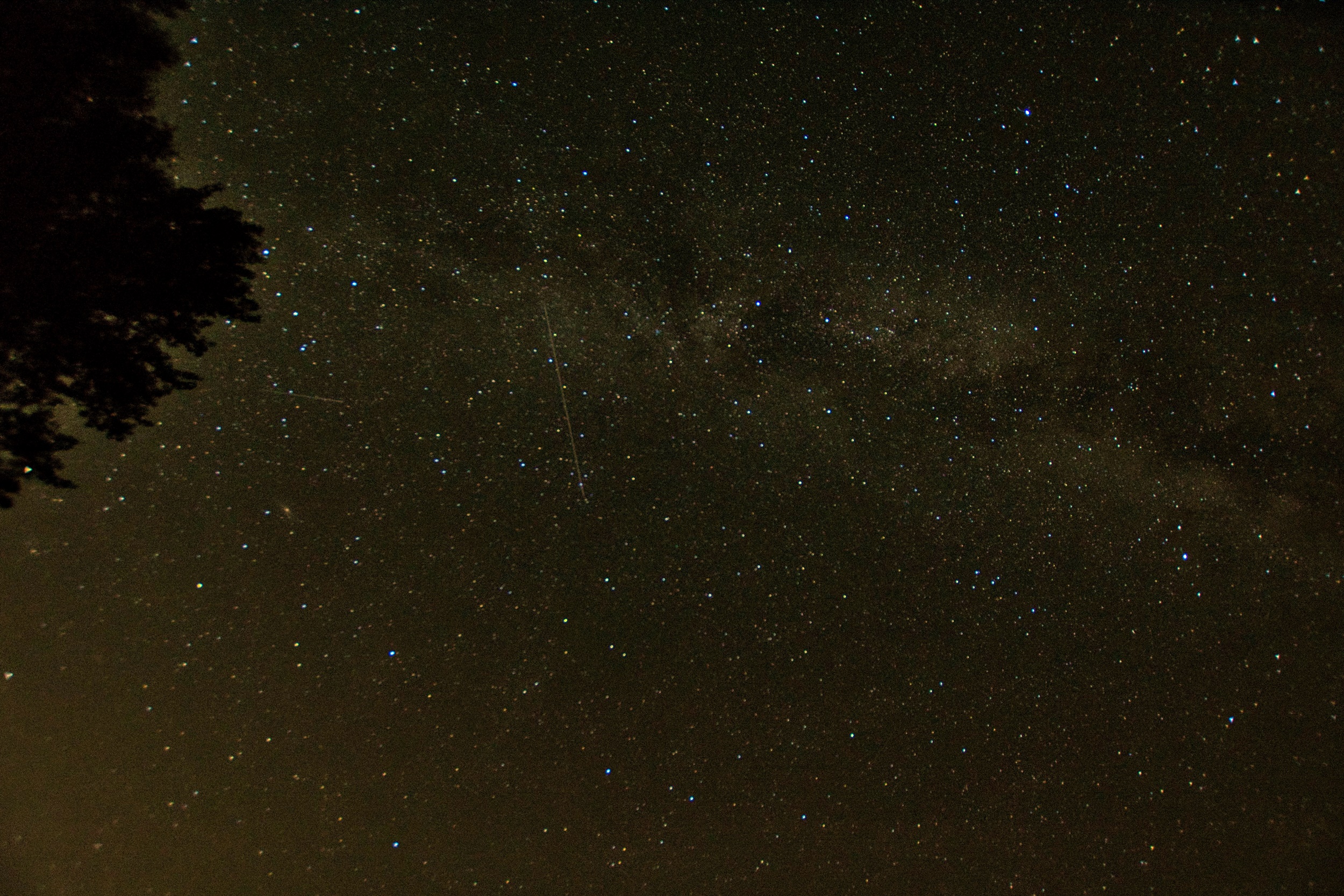 Spotkania z Perseidami we Fromborku